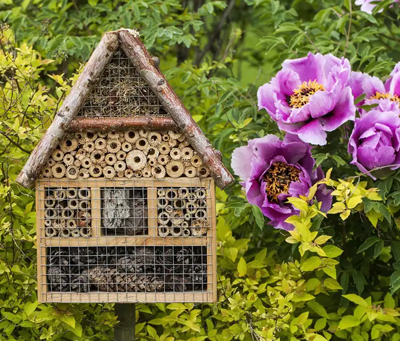 La biodiversité comme fil conducteur