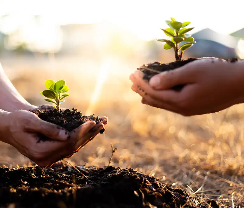 Compenser l'impact environnemental interne